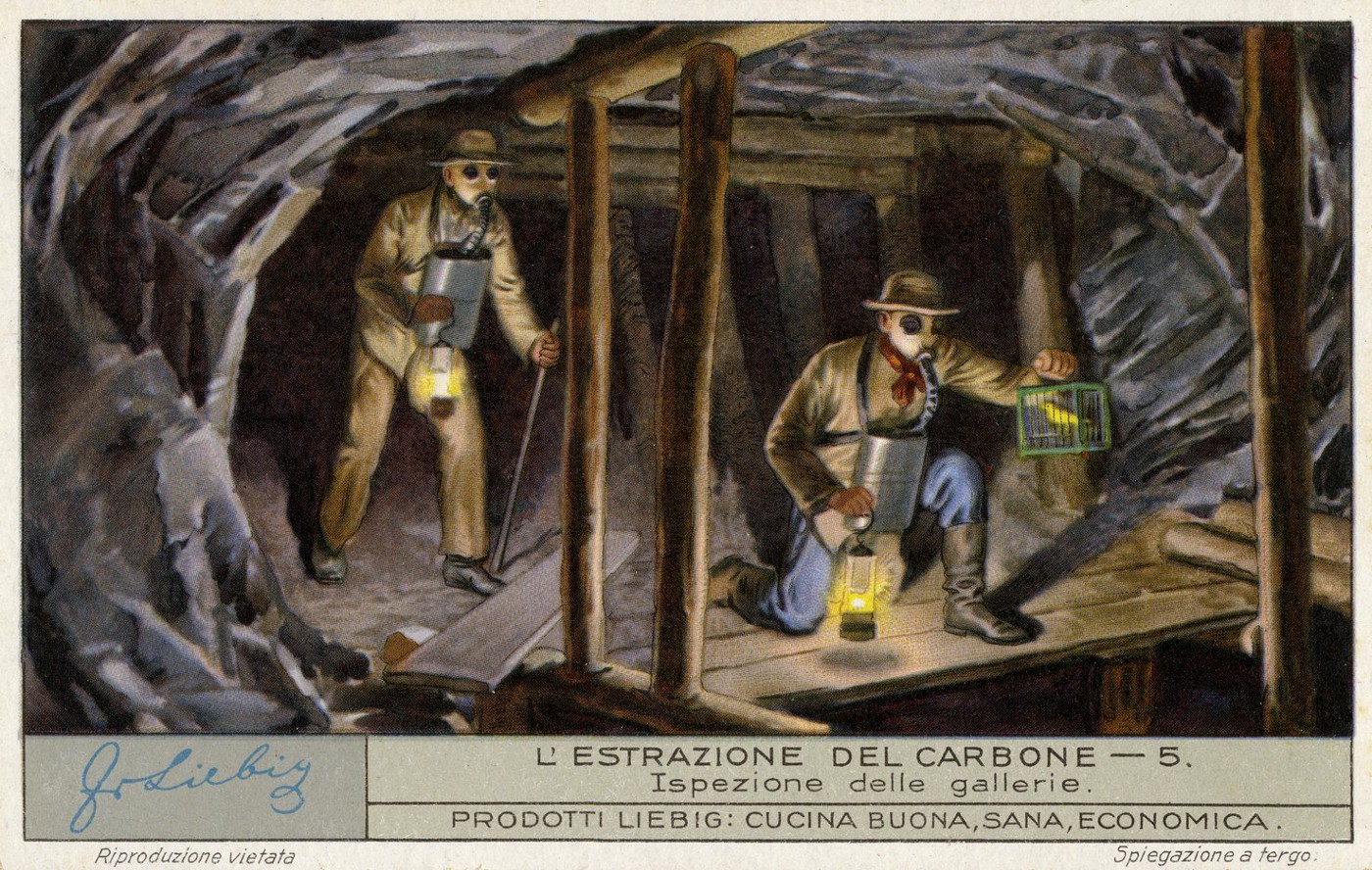 mine using a canary